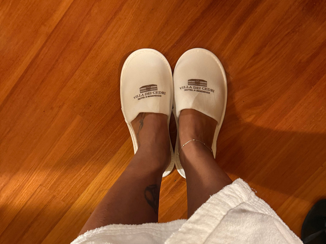 帕尔科特马乐迪戴瑟德力别墅主图