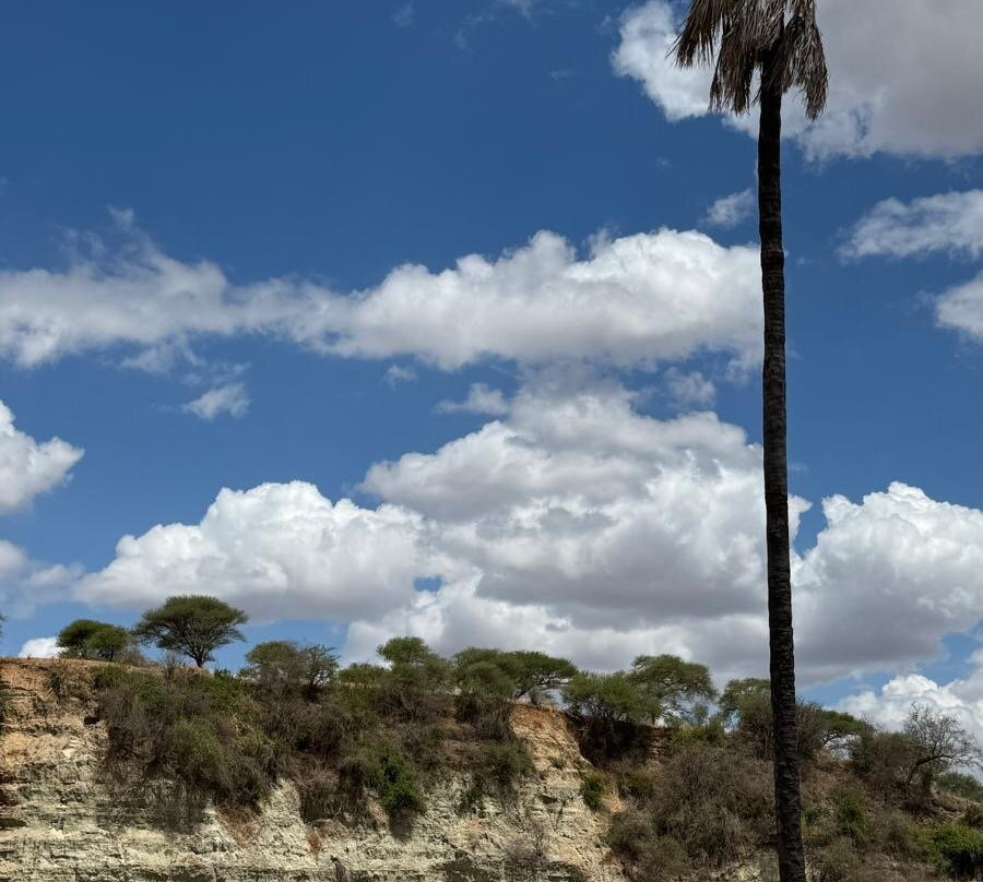 Altezza Travel-莫西必去景点