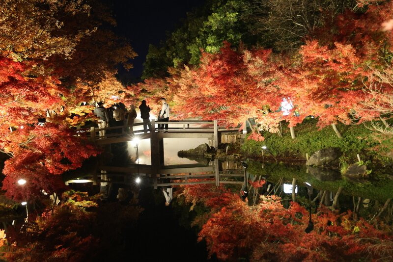 名花之乡-桑名市必去景点