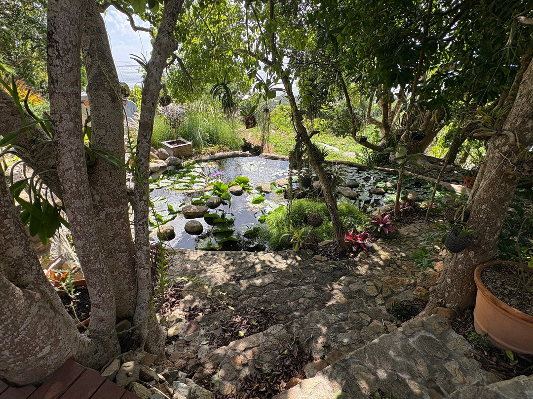 Jardin Botanique du Desert-La Desirade必去景点