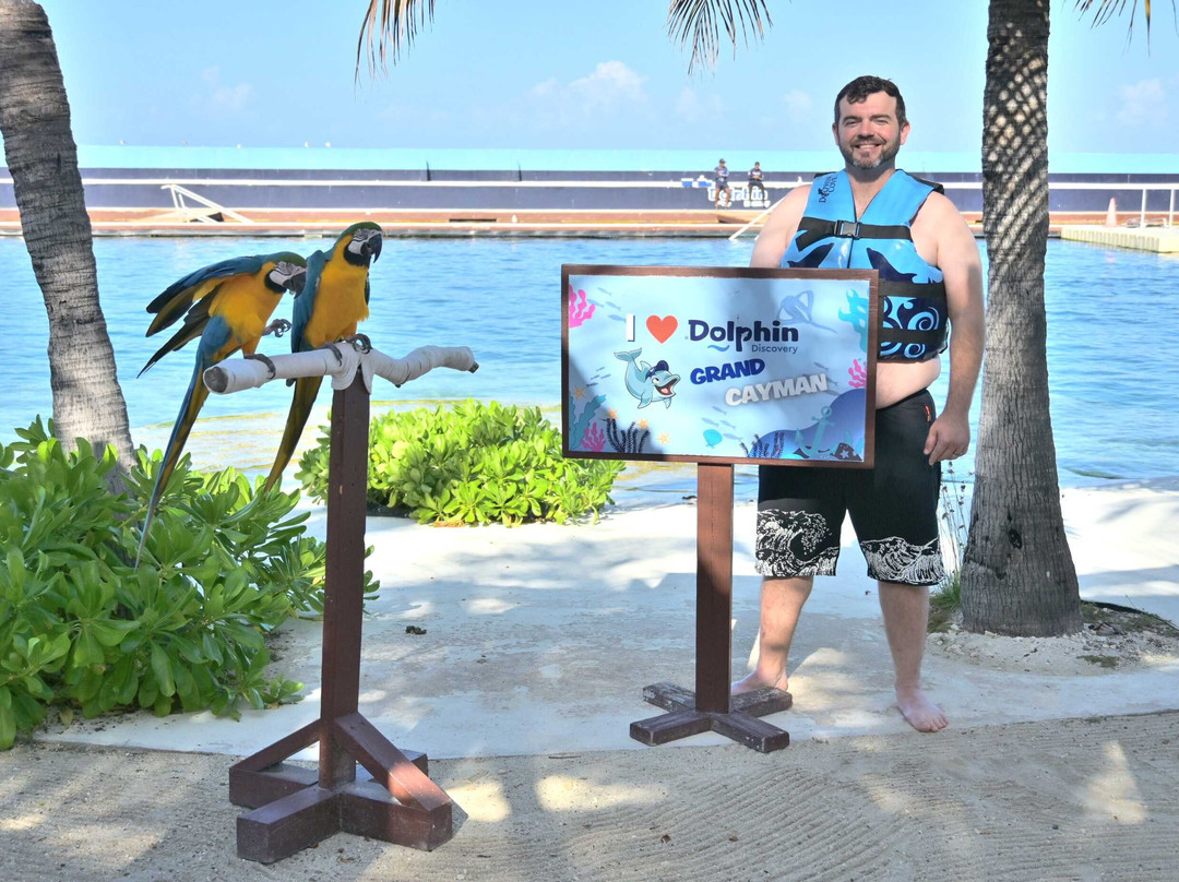 Dolphin Discovery Grand Cayman-西湾必去景点