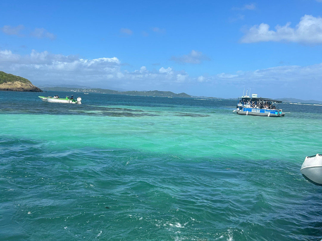 Les Ballades du Delphis-Le Francois必去景点