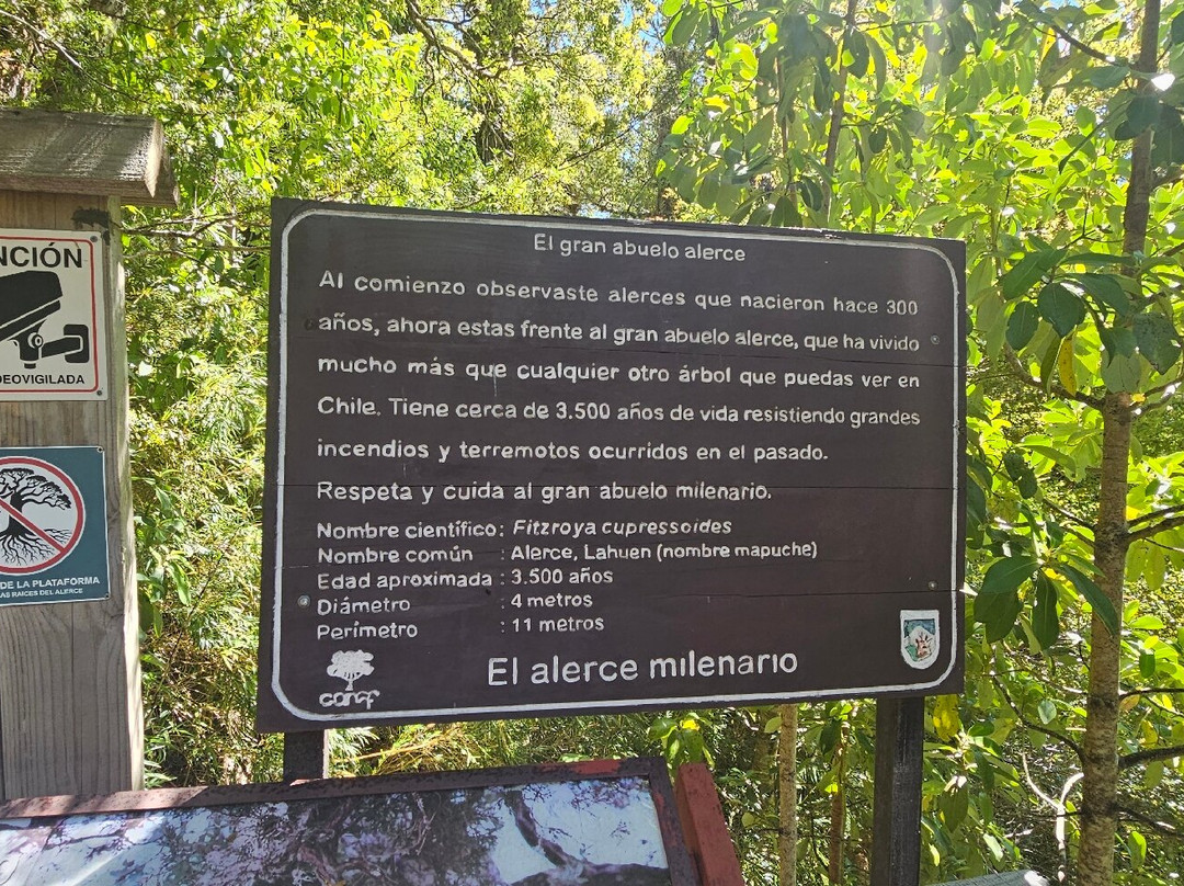 Parque Nacional Alerce Andino-蒙特港必去景点