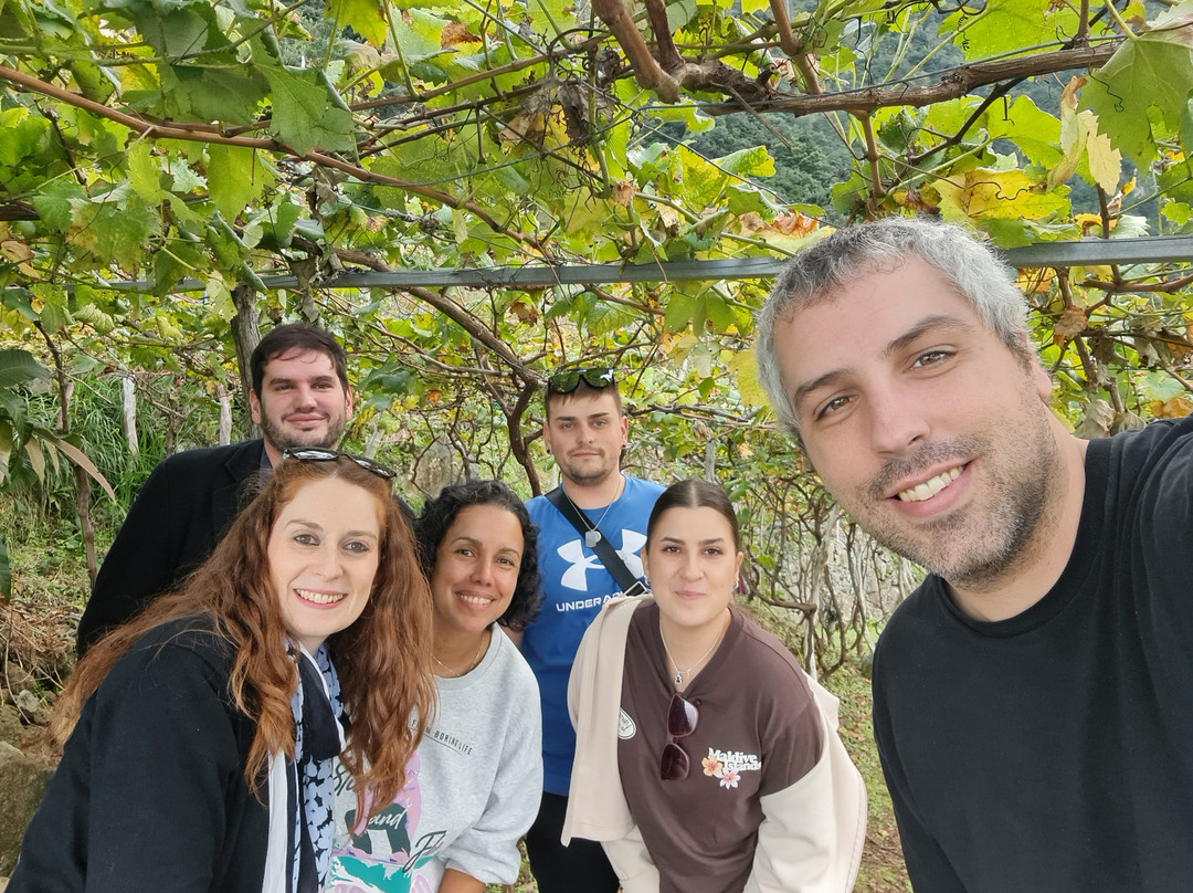 Vinha Do Véu Da Noiva-莫尼什港必去景点