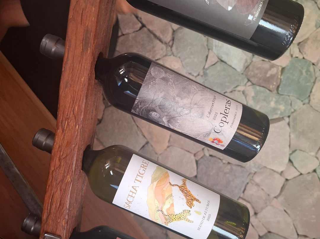 Bodega Kindgard-普尔马马尔卡必去景点