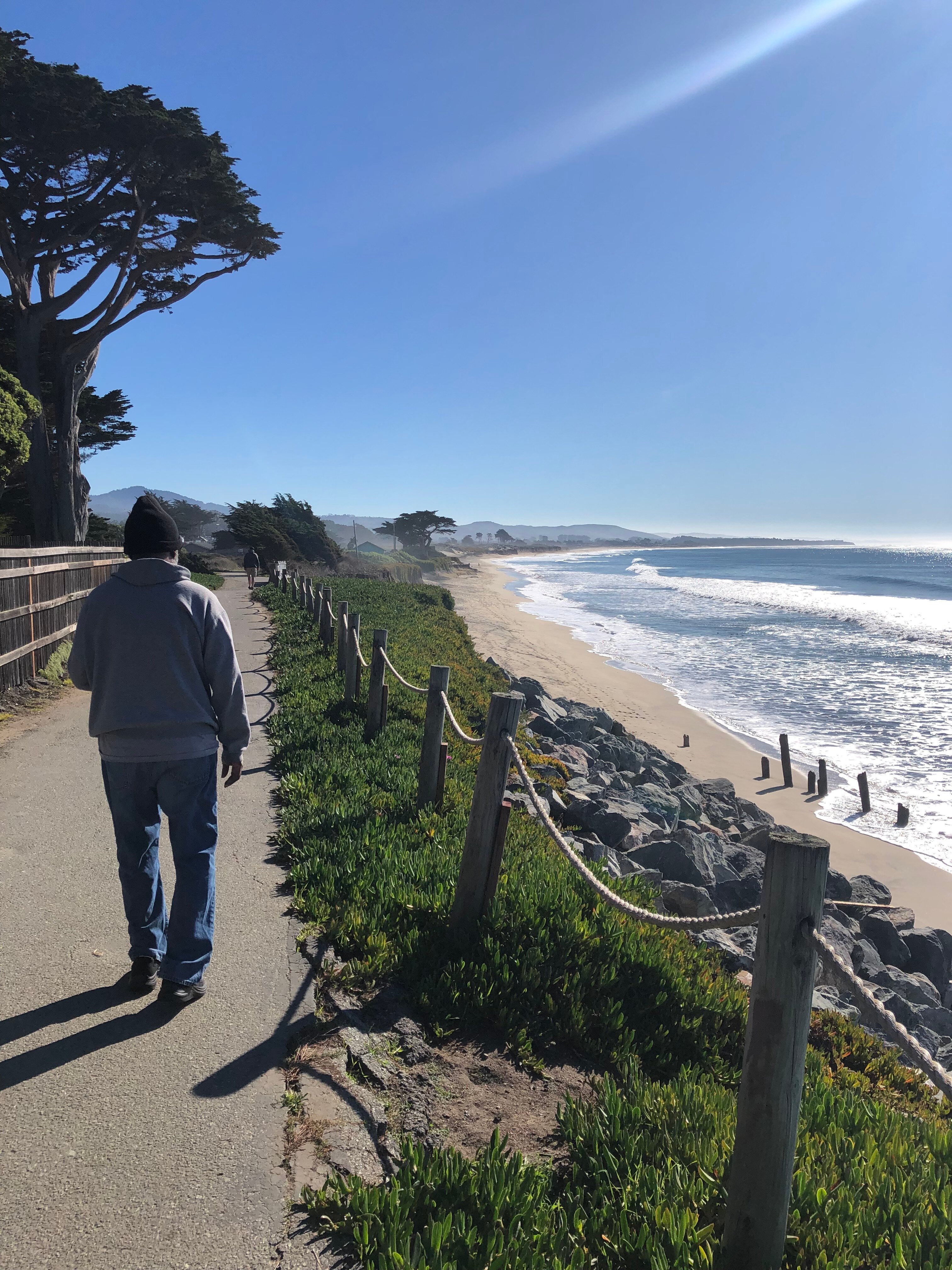 米拉马尔海滩龙柏酒店-官方