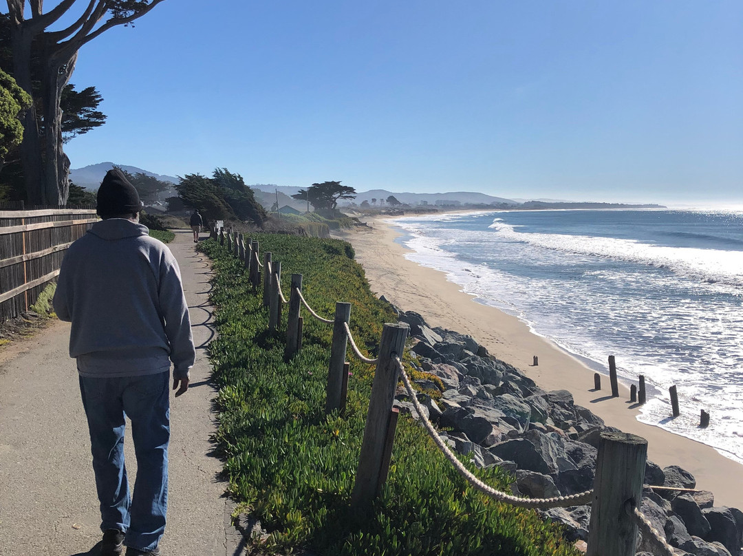 米拉马尔海滩龙柏酒店主图