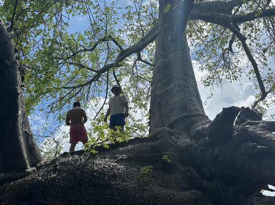 Zanzibar Destination-石头城必去景点