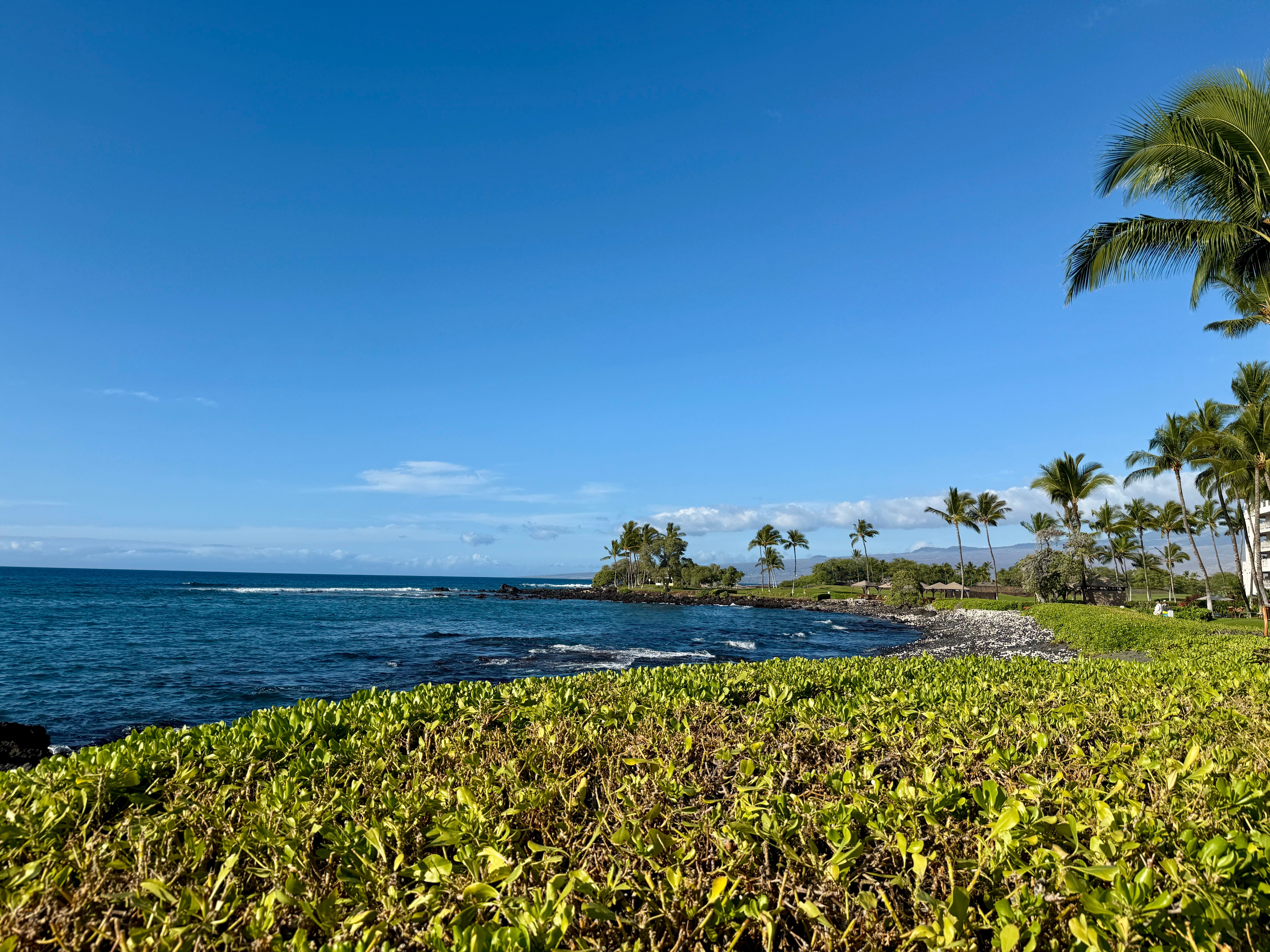 费尔蒙特兰花酒店,夏威夷-官方