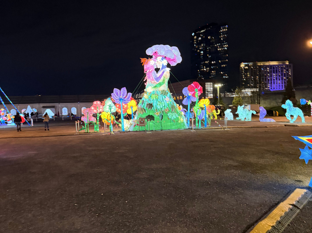 Winter Lantern Festival Washington DC-泰森角必去景点