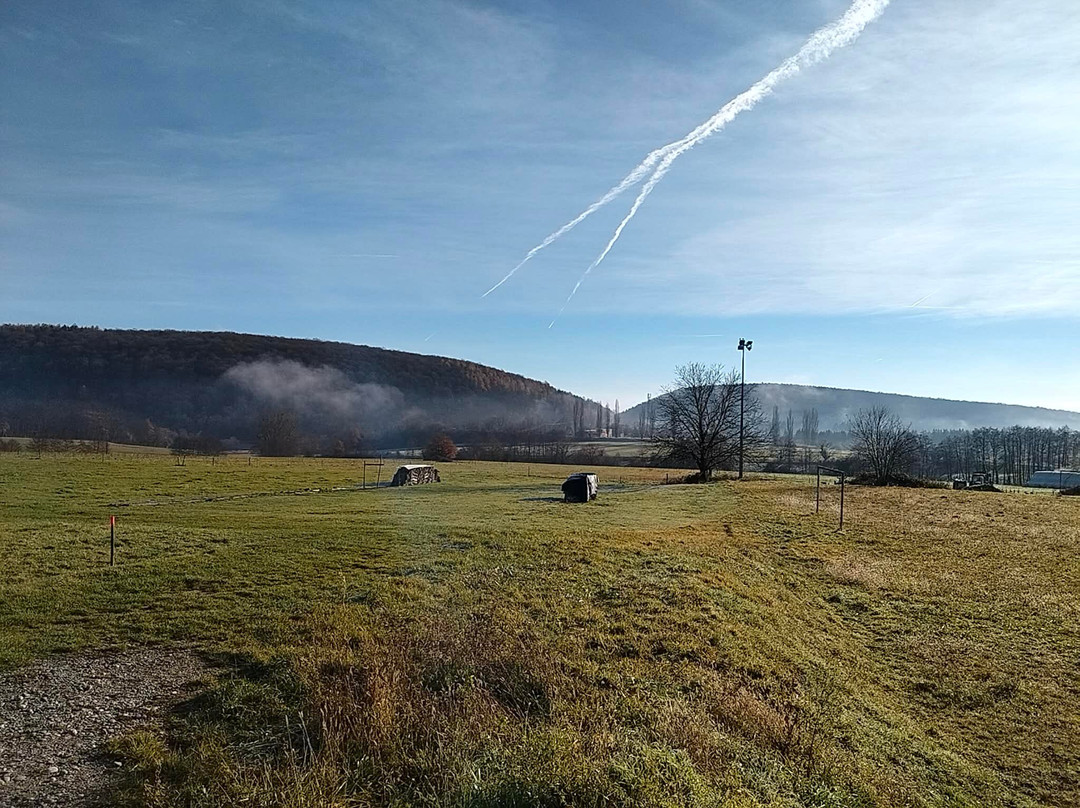 Hôtel-restaurant A L'arbre Vert主图