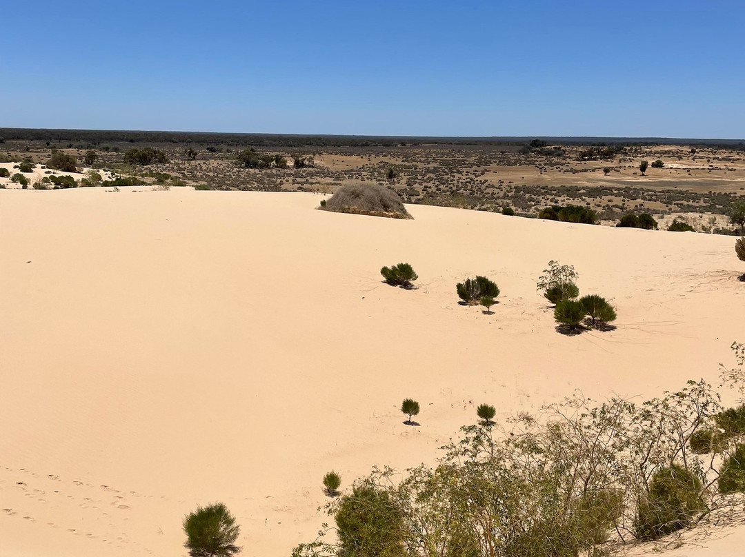 Discover Mildura - Day Tours-米尔杜拉必去景点