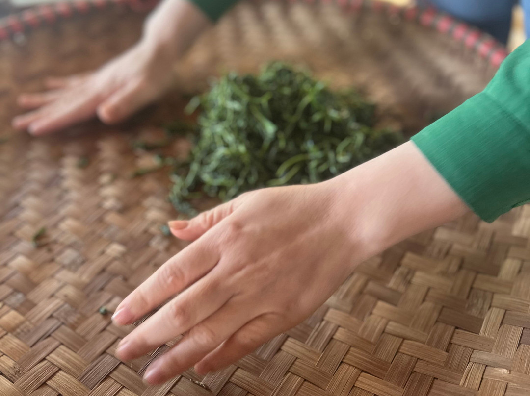 TeaTour Travel-Thai Nguyen必去景点