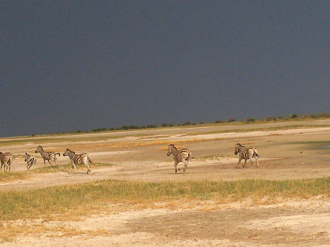 Etosha Pan-纳米比亚埃托沙国家公园必去景点