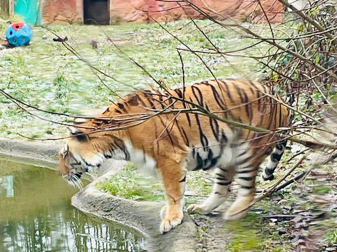 Sikypark-Cremines必去景点