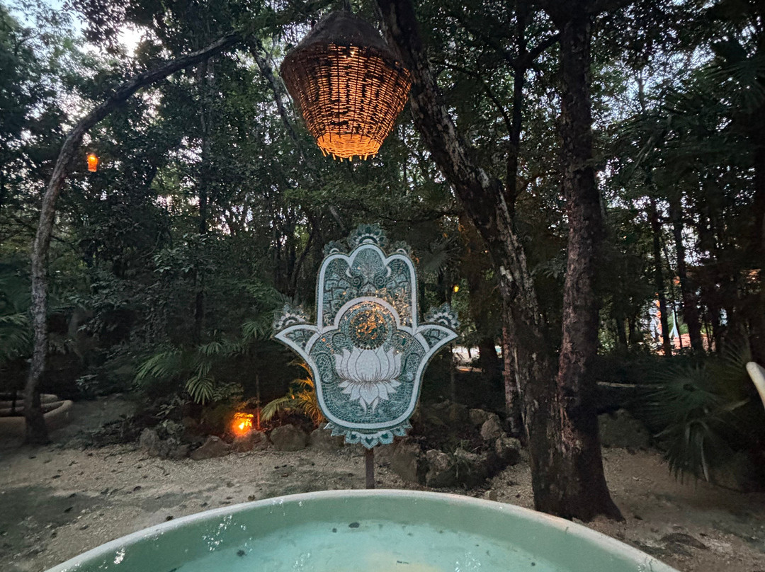 Hotel Holistika主图