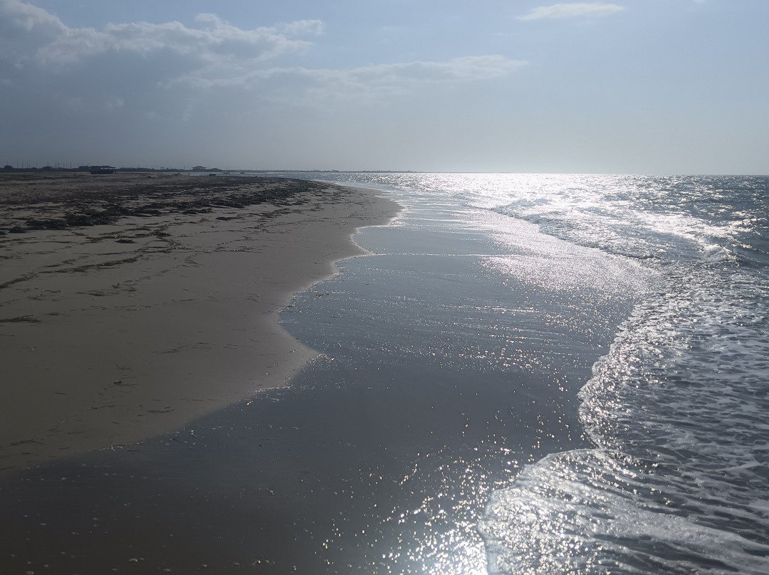 Alma Guajira-Riohacha必去景点