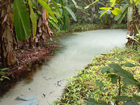 JALAPAO FOREVER TURISMO E AVENTURA-Palmas必去景点