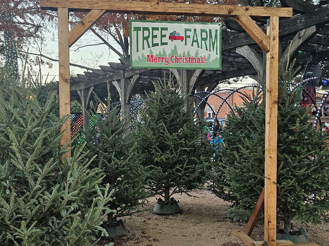 Grapevine Historic Main Street District-葡萄藤必去景点