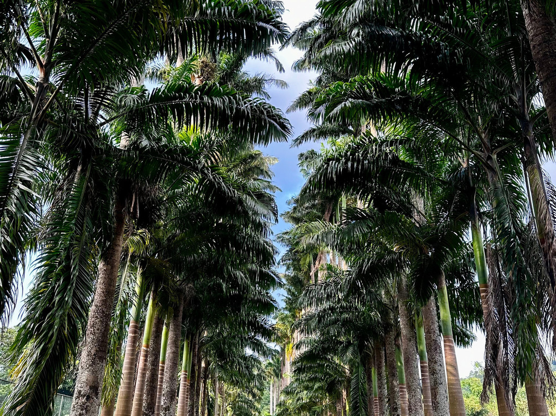 Kandy Blossom Tours-Deraniyagala必去景点