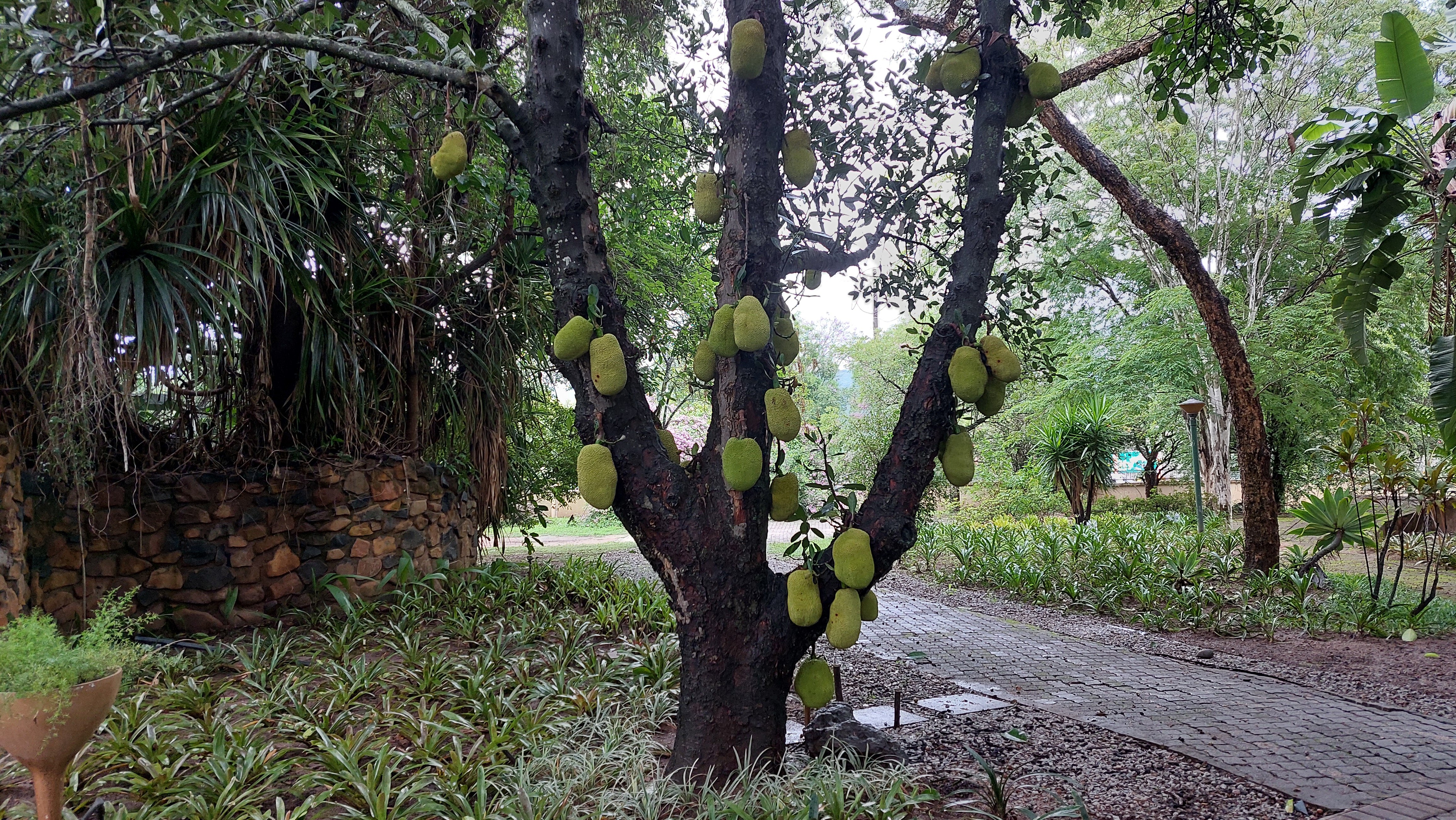 努比花园套房酒店-浴室