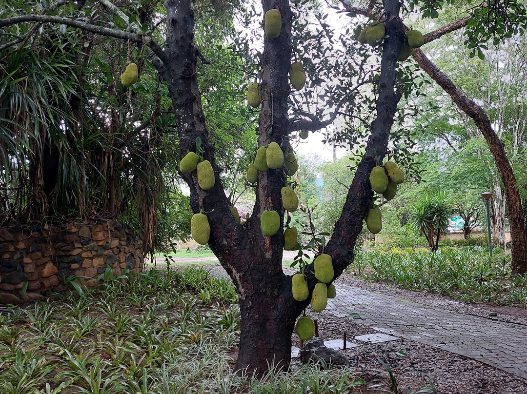 努比花园套房酒店主图