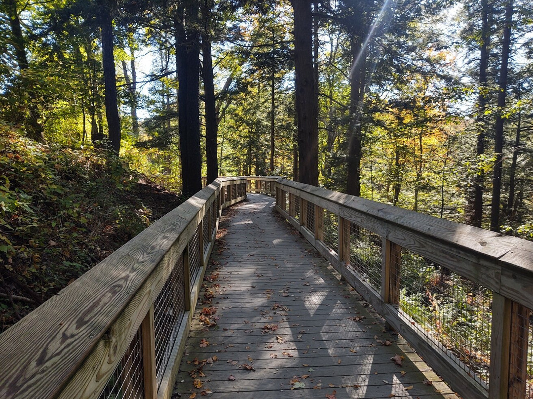 Carpenter Falls-Skaneateles必去景点