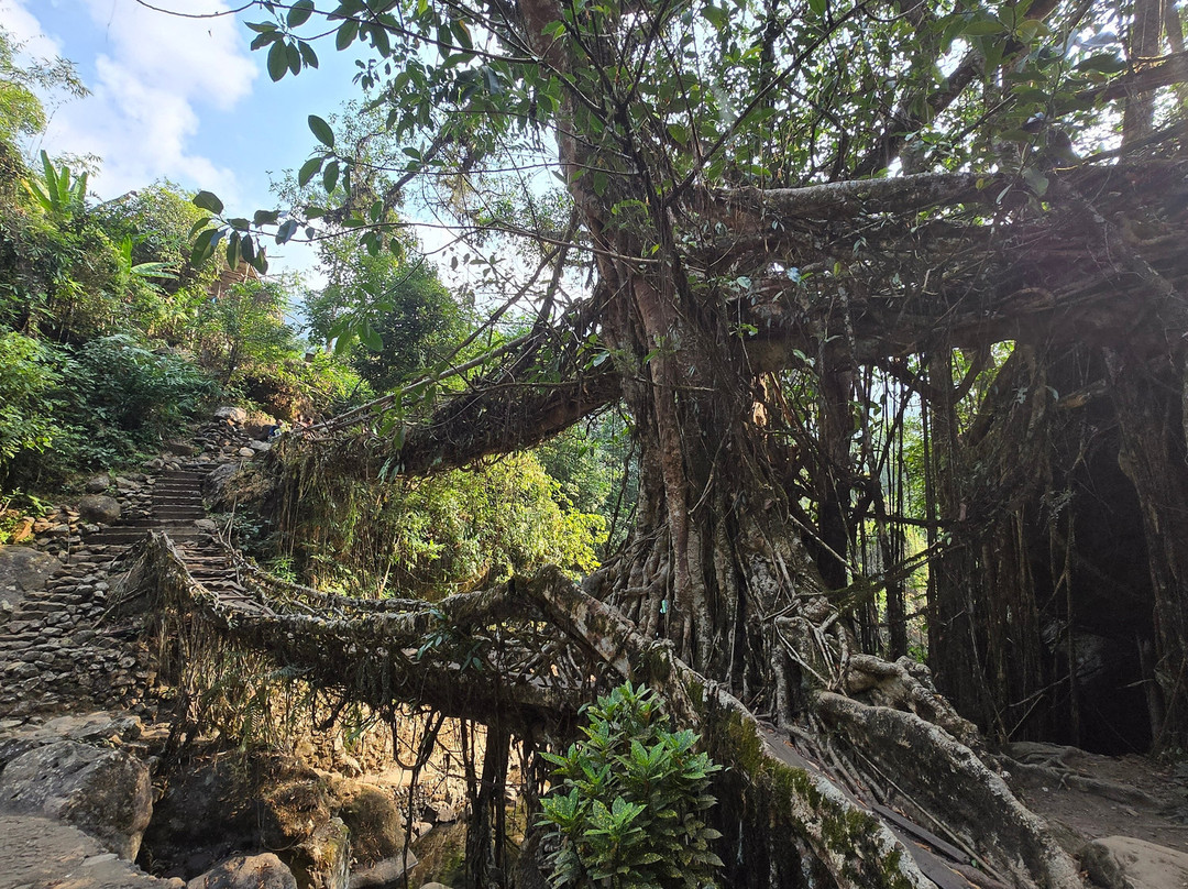 Travel With The Buddies-西隆必去景点