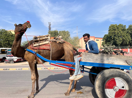 India Travel Tour Information-新德里必去景点