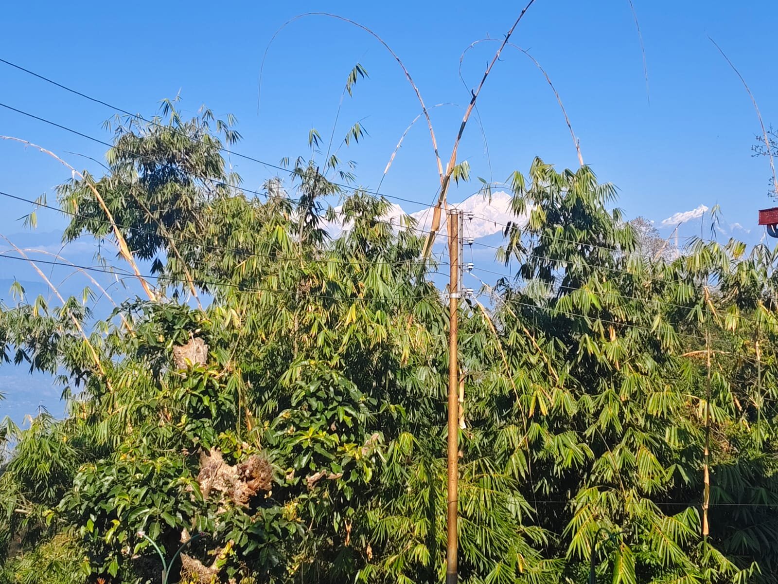 Pine Haven Resorts & Spa-酒店景观