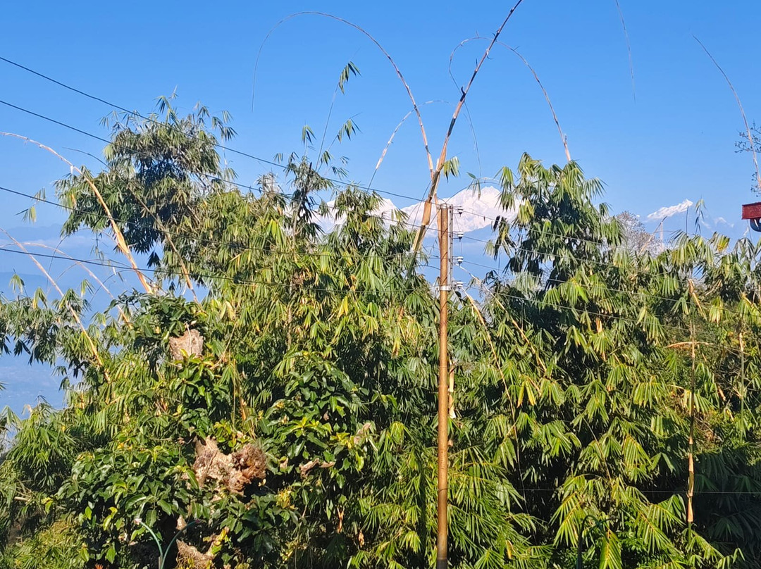 Pine Haven Resorts & Spa主图