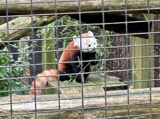 Cape May County Park & Zoo-开普梅考特豪斯必去景点