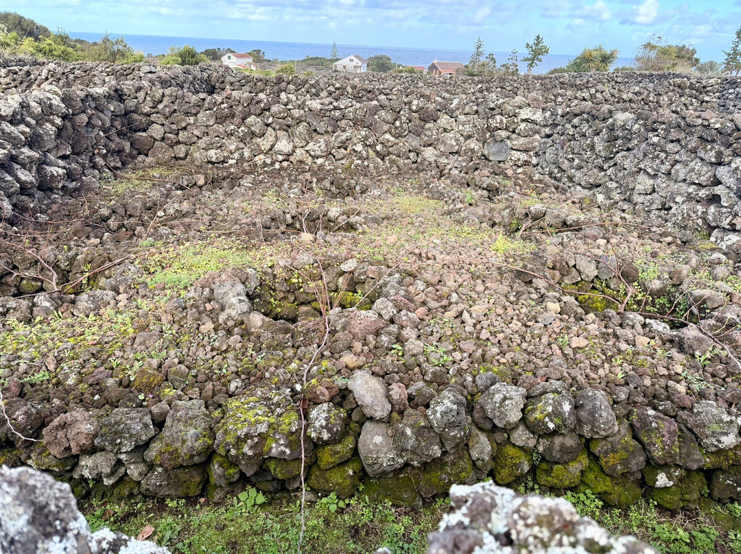 Materramenta - Experiências-Biscoitos必去景点