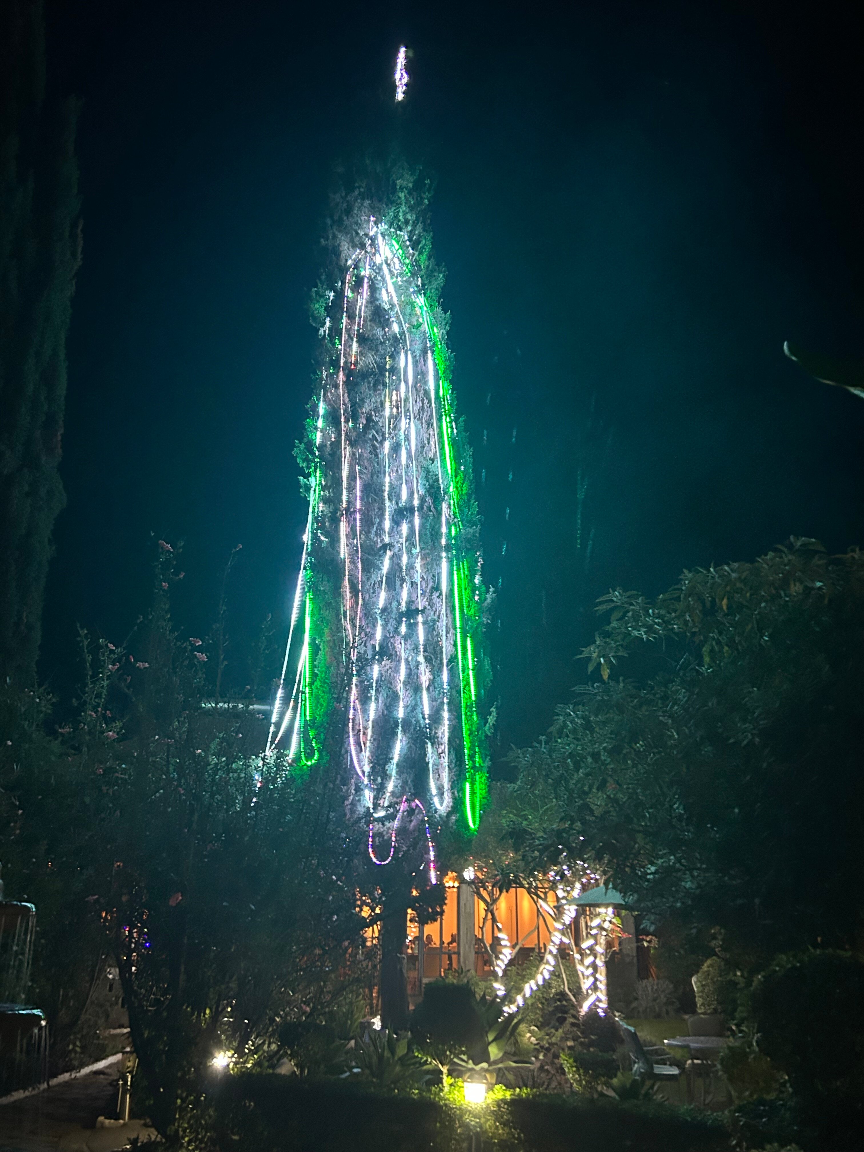 Falcon Heights Hotel-官方