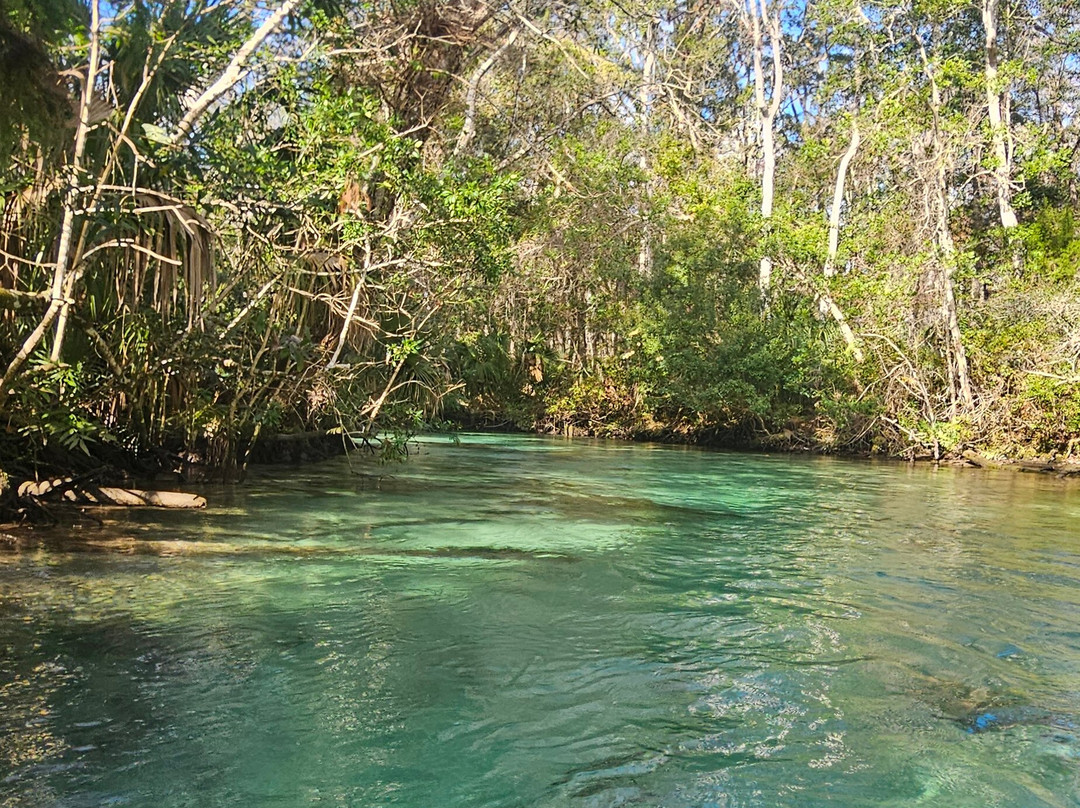 Weeki Wachee Kayaking-Weeki Wachee必去景点