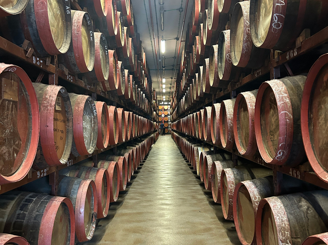 Arehucas Rum Distillery-Arucas必去景点