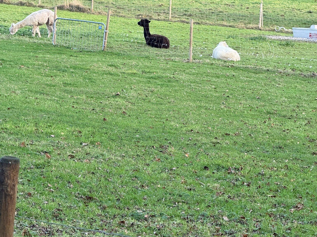 Farmleigh House and Estate-都柏林必去景点