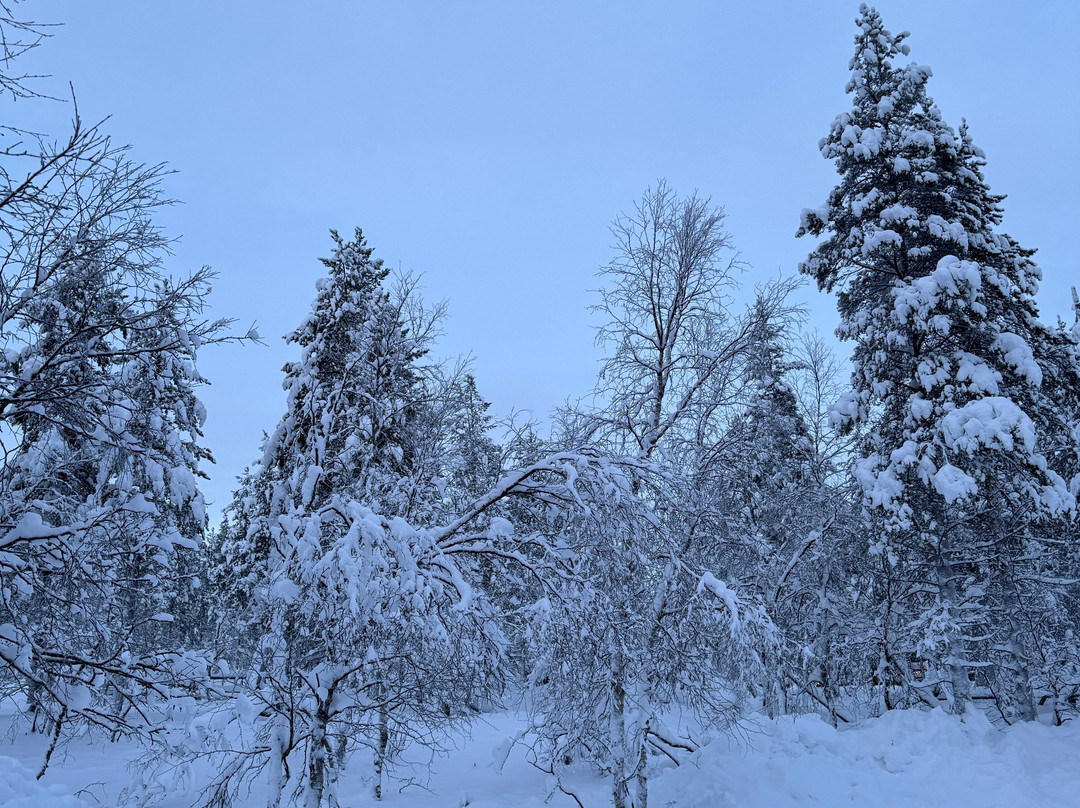 Arctic Timetravels-撒利塞卡必去景点