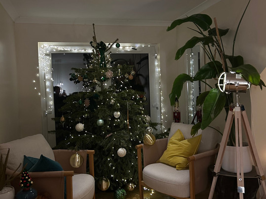 The Grumpy Schnauzer B&B主图