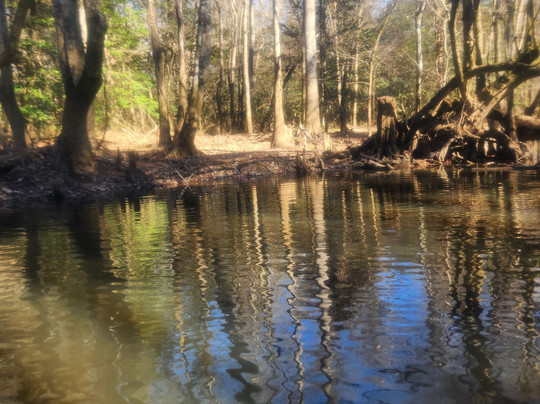 Palmetto Outdoor-West Columbia必去景点