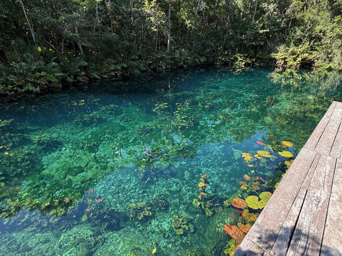 Living Dreams Mexico-图伦必去景点