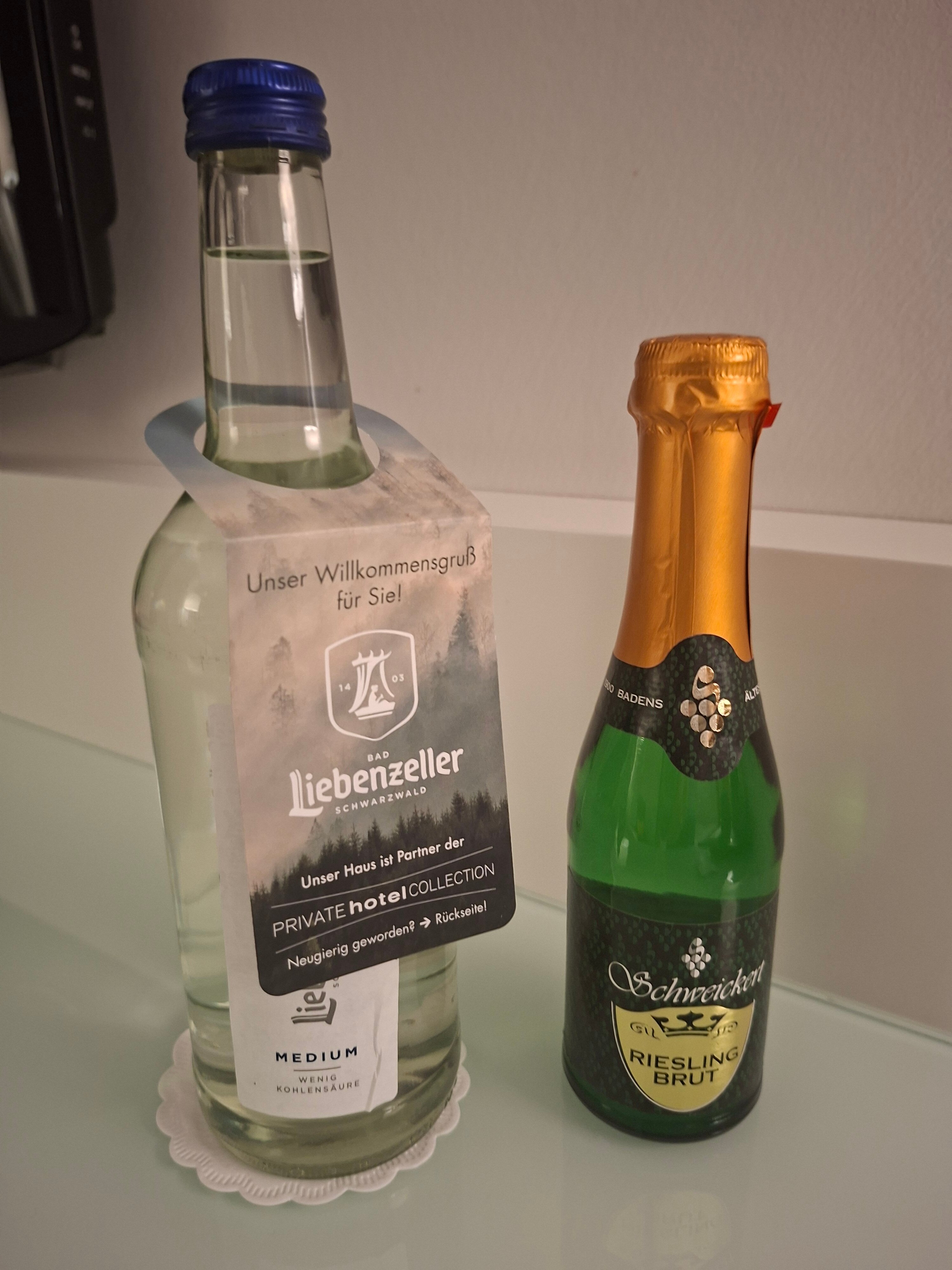 普福尔茨海姆公园酒店-客卧