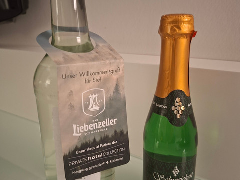 普福尔茨海姆公园酒店主图