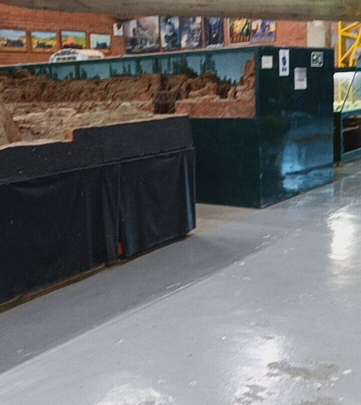 Museo Aereo Fenix-Palmira必去景点