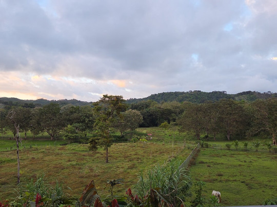 Hacienda Las Colinas-帕利塔必去景点