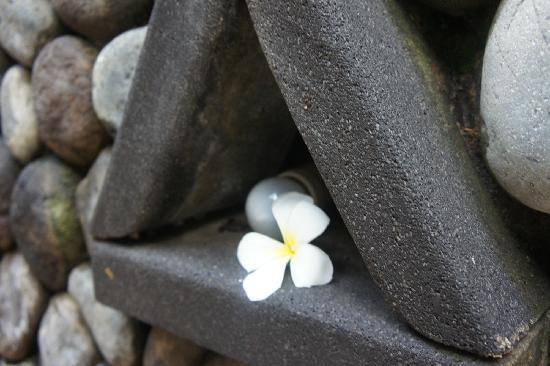 皇家皮塔马哈酒店主图