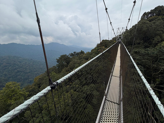 Africa Adventure Safaris-坎帕拉必去景点