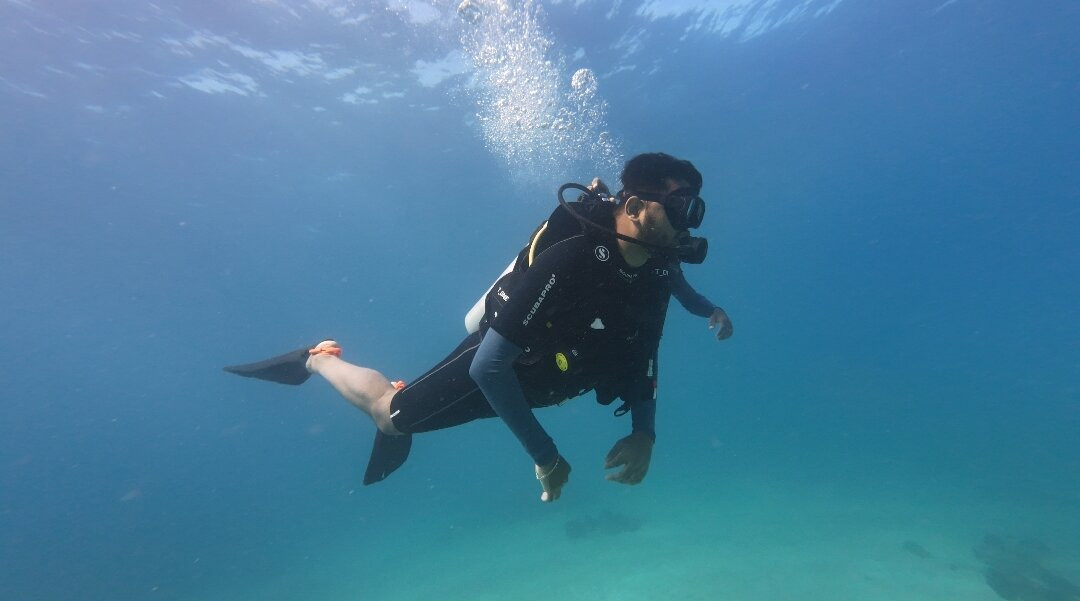 Turquoise Dream-Neil Island必去景点