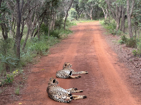 Loisico Tours and Excursions-Bloubergstrand必去景点