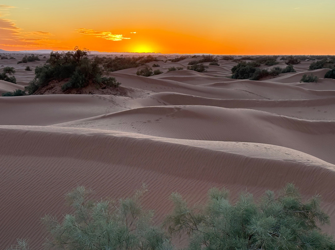 Sahara Soul Treks-扎古拉必去景点
